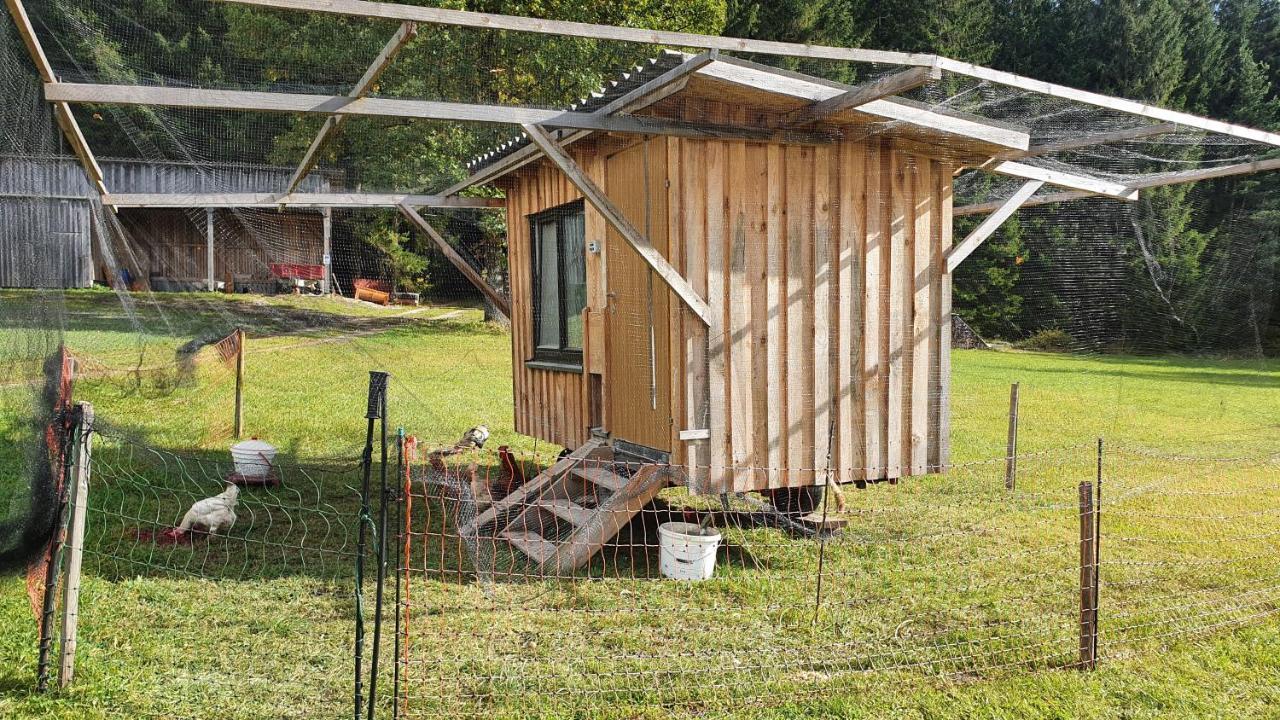 Ferienhaus Buxbaum Arbesbach المظهر الخارجي الصورة