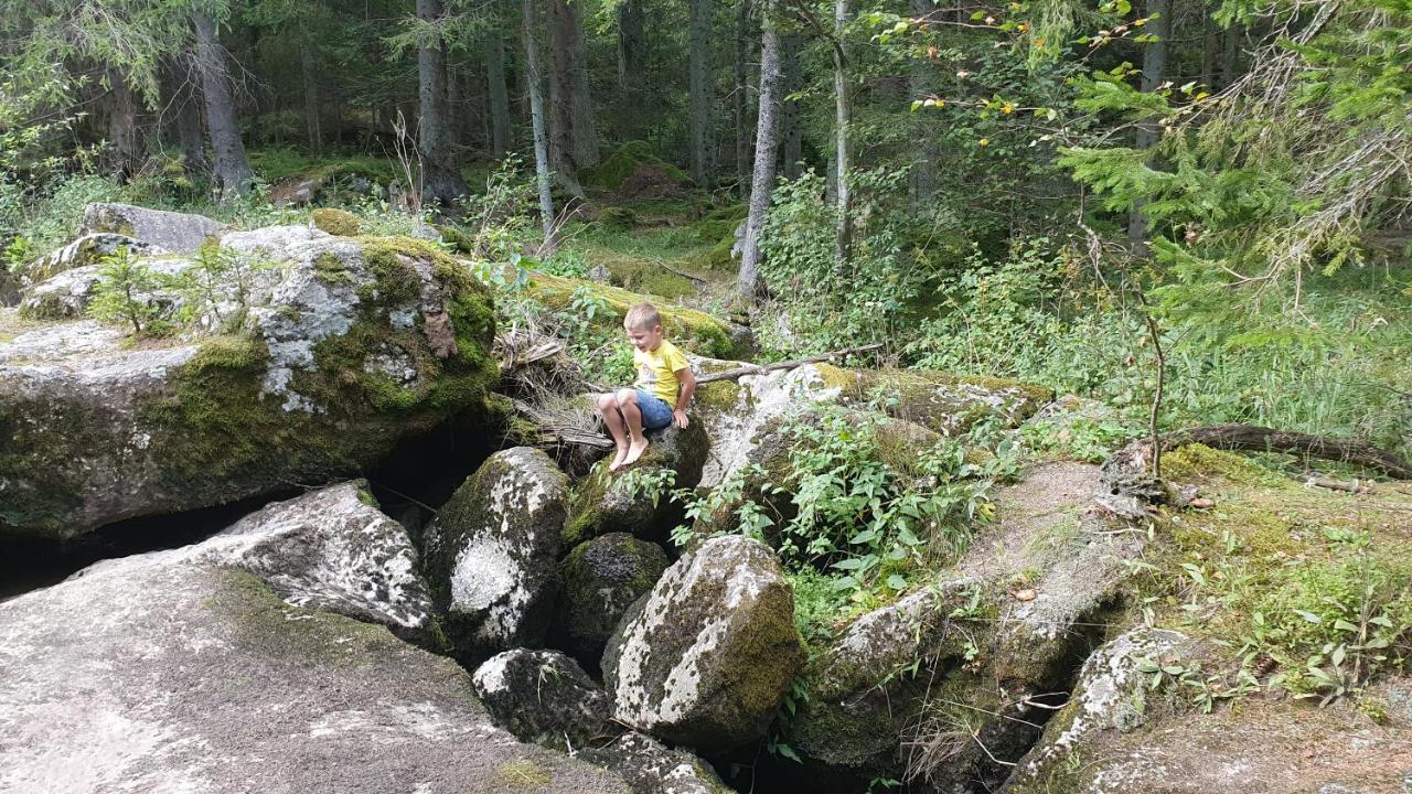 Ferienhaus Buxbaum Arbesbach المظهر الخارجي الصورة